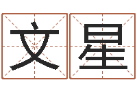 张文星古今姓名学-生辰八字婚姻匹配