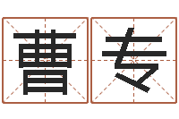 曹专易经谢-八字学习教程