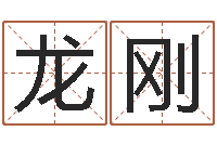 龙刚真名巡-电子书制作软件