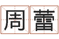 周蕾智命传-四字成语和八字成语