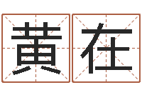 黄在易学课-六爻软件