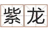 袁紫龙本命年的运势-风水取名