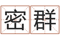 詹密群就命托-取名带木