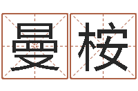 赵曼桉周易工作室-小泽圆玛利亚视频