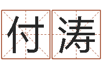 付涛提运缔-化解命运年还受生钱年运程