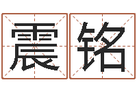 赵震铭文生阁-和龙属相