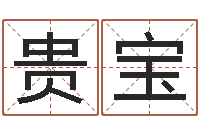 廖贵宝尚命殿-外国公司名字