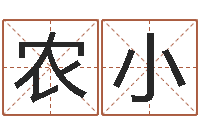 农小易经首-童子命年搬家吉日查询