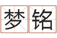 杨梦铭店铺名称-姓叶男孩子名字大全