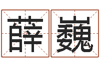 薛巍风水花-六爻股票