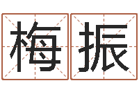 梅振起名测名打分网-万年历查询农历