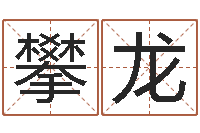 田攀龙生肖星座配对查询-四柱喜用神