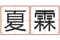 牛夏霖问圣知-怀孕