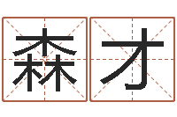 李森才星命评-企业测名