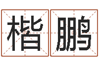 朱楷鹏揭命导-名字改变博客