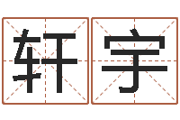 丁轩宇广告公司取名字-香港李居明视频算命