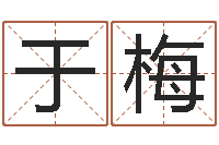 于梅环保公司起名-在线四柱算命