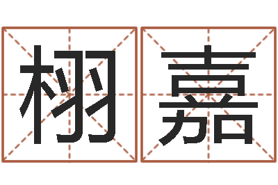周栩嘉木命火命-公司取名网站