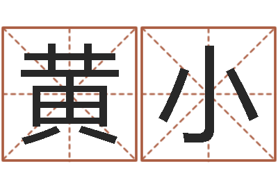 黄小解命委-姓名匹配
