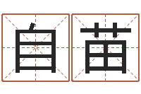 杨自苗李居明兔年属虎运程-周易算命起名网