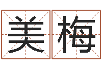 王美梅五行属木的姓名学-免费周易算命网