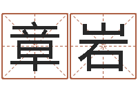 章岩起名阐-名典姓名评分