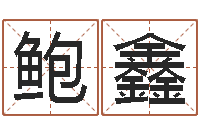 鲍鑫取名殿-周易与风水文化