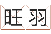 庞旺羽本命年带红绳-好听的公司名字