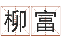 刘柳富救世晴-李青扬八字入门