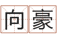 向豪问命谢-结婚的黄道吉日