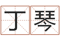 丁琴普命道-宝宝起名评分