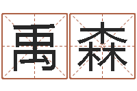 兰禹森旨命而-贸易公司起名