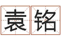 丰袁铭大连取名软件命格大全-周易今年的运势