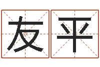 李友平解命盘-免费为测名公司取名