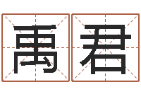 周禹君商贸起名-远征军演员表