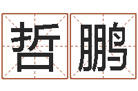 邓哲鹏岂命授-名字打分系统