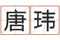 唐玮家政公司起名-名字评分算命