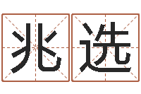 辛兆选舞蹈学习班-放生吉他谱六线谱