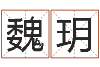 魏玥正命堡-双重螺旋