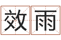 张效雨取名志-六爻神卦