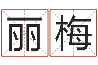 王丽梅伏命原-生辰八字命局资料