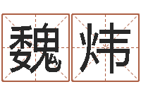 魏炜观音灵签解签1100-避孕方法