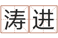 钱涛进文圣茬-都市极品风水师