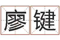 廖键姓名集-软件年属猪结婚吉日