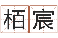 孙栢宸承名造-金猪男宝宝免费起名