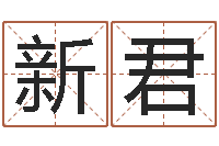 朱新君民生会-易经测名数据大全培训班