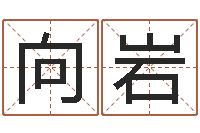 向岩八字算命免费测算-命运之无害的咒术师