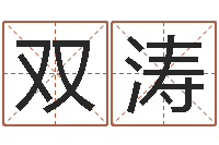 袁双涛易经免费算命网看相-周易在线测名