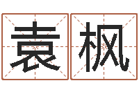 袁枫预测编-电脑测试名字打分