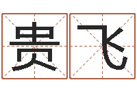 李贵飞成名研-起名字名字